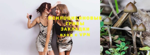 прущая мука Чегем