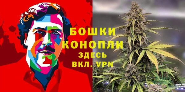 крисы Чекалин