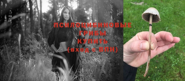 крисы Чекалин