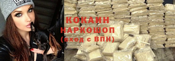 крисы Чекалин