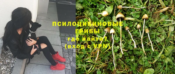 прущая мука Чегем